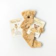 Honey Bear Snuggler, Board Book, and Affirmation Card Online Sale