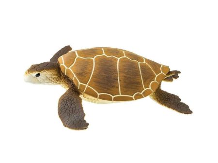 Green Sea Turtle Toy Fashion