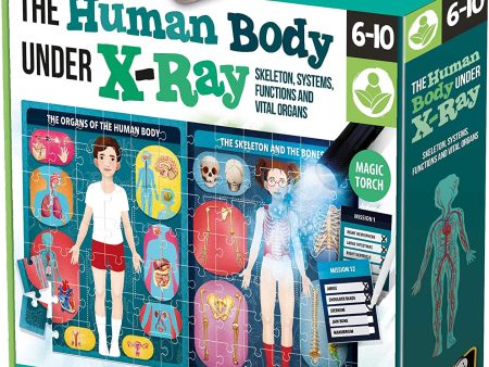 Headu The Human Body Under X-Ray Puzzle Hot on Sale